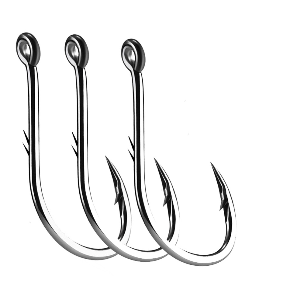 Fishing Hook Assortment - Iseama 서클 잉어 아이 낚시 후크,